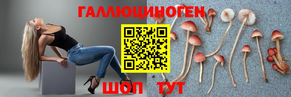 Куйбышев  купить наркотики сайты  Вход с VPN  Псилоцибиновые грибы Cubensis  Псилоцибиновые грибы Magic Shrooms 